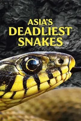 Asias Deadliest Snakes2011