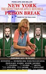 new-york-prison-break-the-seduction-of-joyce-mitchell2017