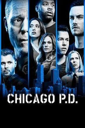 芝加哥警署第六季在线观看