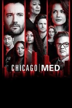 芝加哥医院第四季在线观看