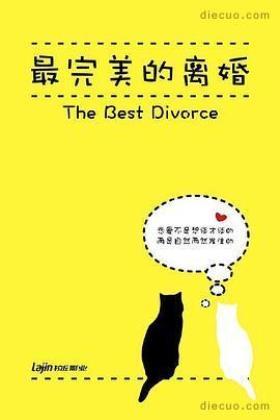 最完美的离婚中国版