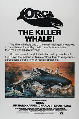 杀人鲸线上看